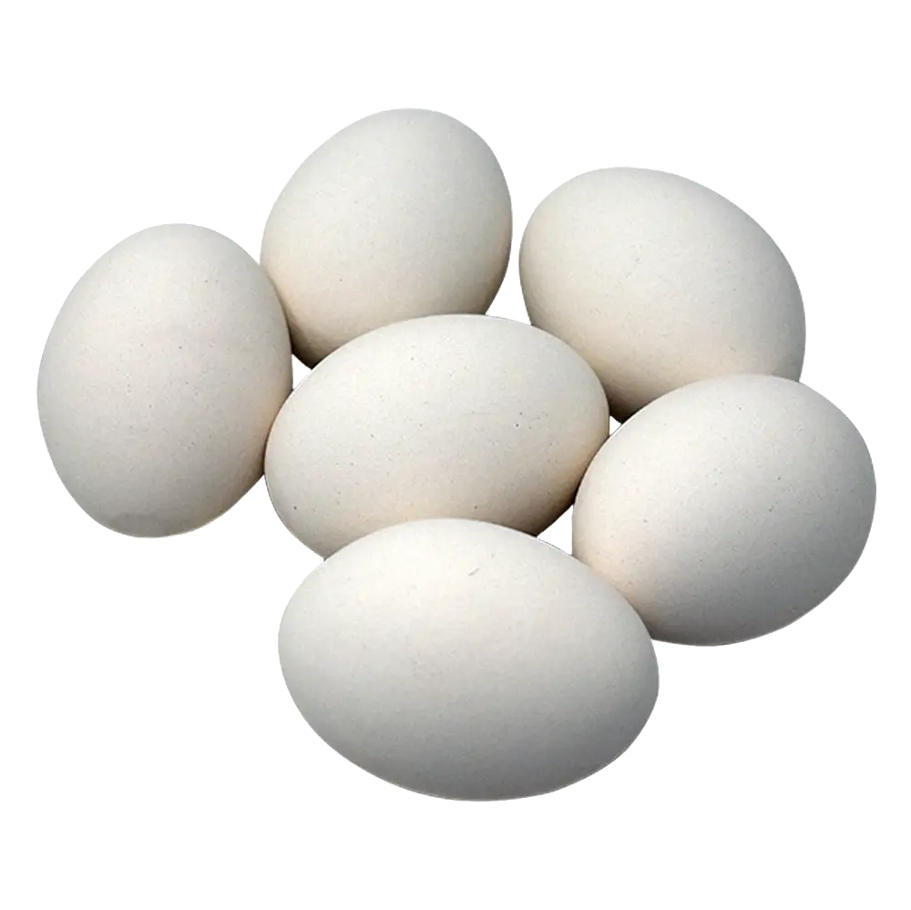 بيض ابيض 30 قطعة